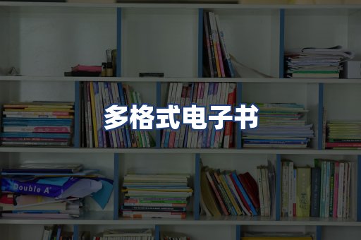 多格式电子书